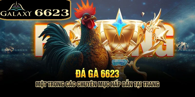 đá gà 6623