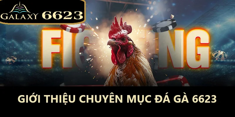 Sảnh game là sự lựa chọn tuyệt vời cho những tín đồ cá cược