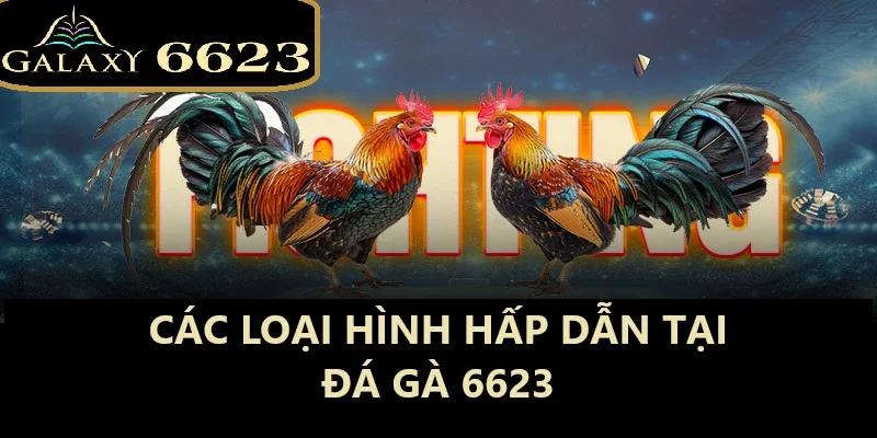 Các quy định cần lưu ý khi tham gia đá gà 6623